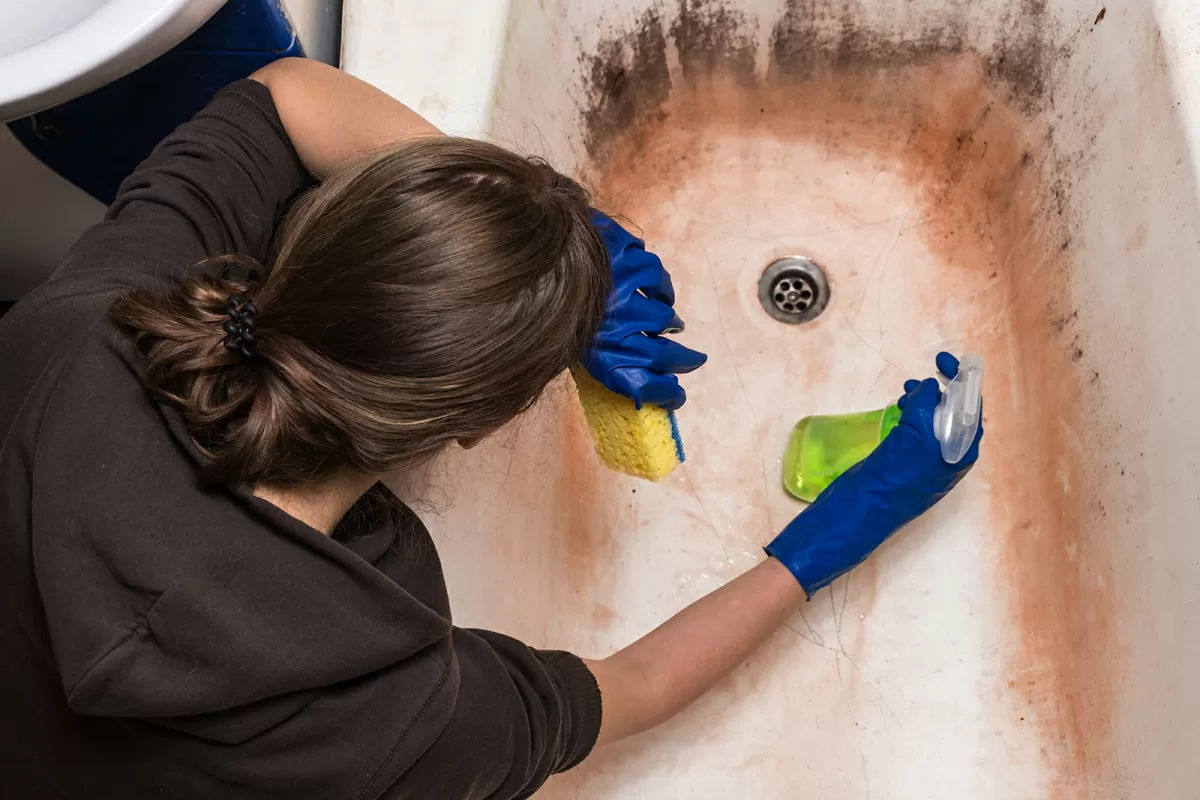 Deep Cleaning
